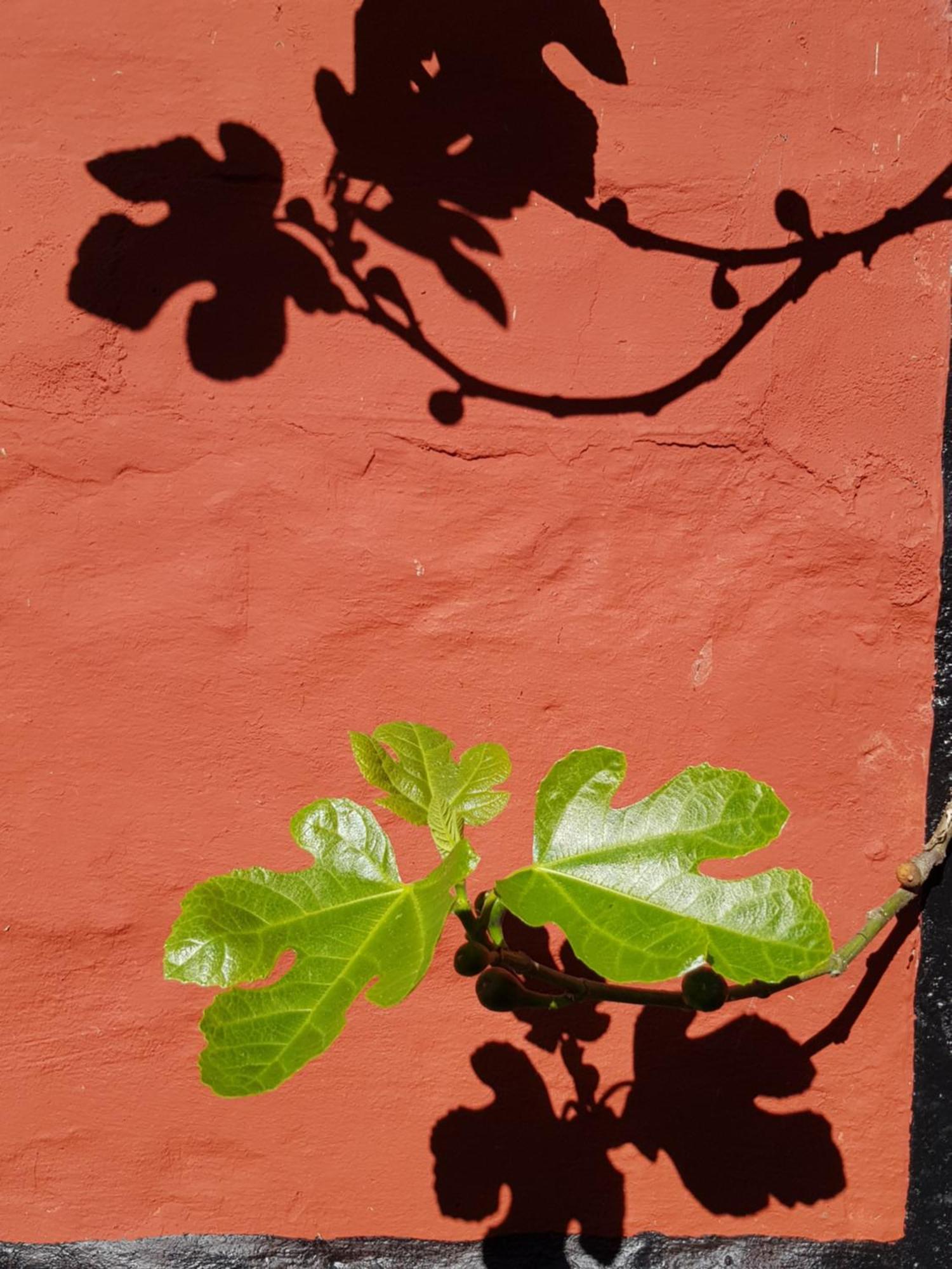 Pyttegarden Apartments Gudhjem Zewnętrze zdjęcie