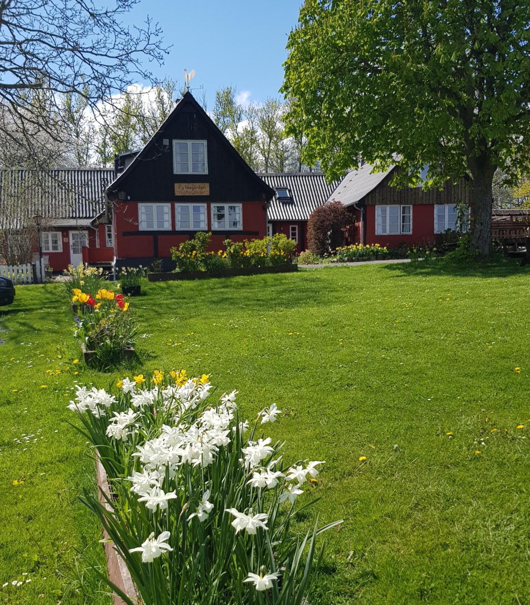 Pyttegarden Apartments Gudhjem Zewnętrze zdjęcie