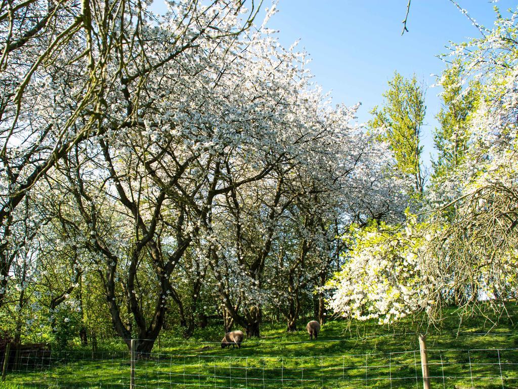 Pyttegarden Apartments Gudhjem Zewnętrze zdjęcie